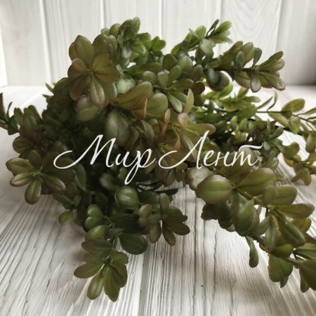 Гілка самшиту, 48 см, бордово-зелений, шт.