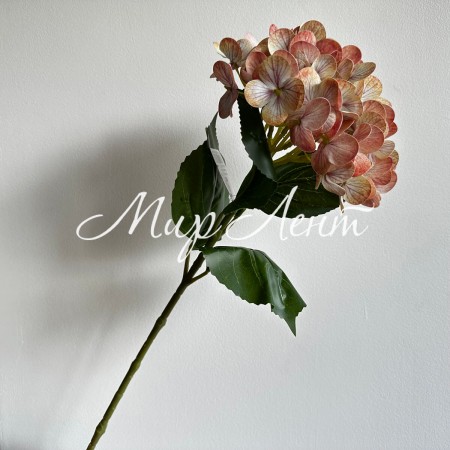 Ветка гортензии (С30542), 66 см, светло-оранжевая, шт.