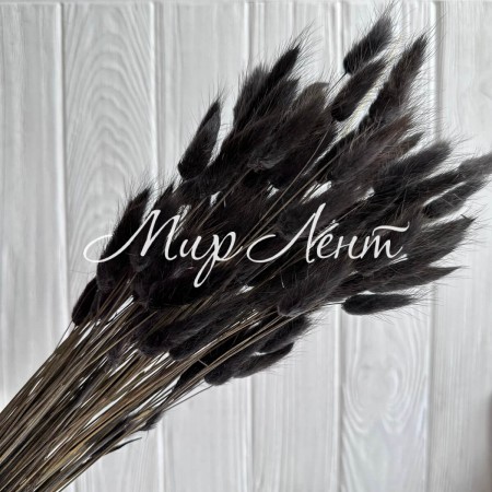 Лагурус стабилизированный, 60 см, черный, упаковка 100 шт. 