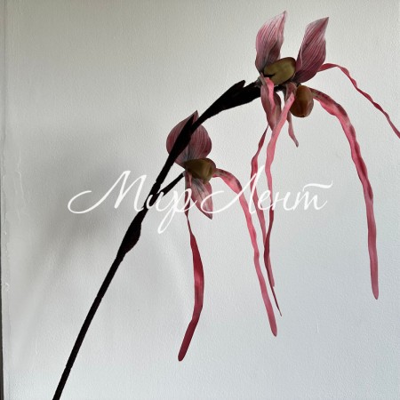 Ветка дикой орхидеи, 80 см, баклажановая, шт.