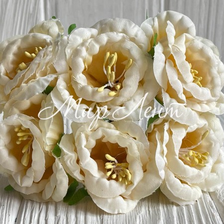 Глоксинія, 4,5 см, молочний, упаковка 36 шт.