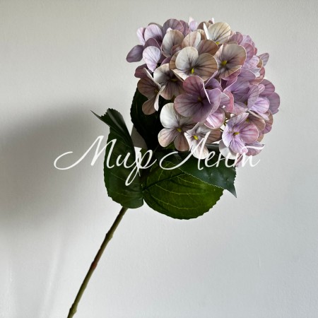 Ветка гортензии (С30542), 66 см, бежево-лиловая, шт.