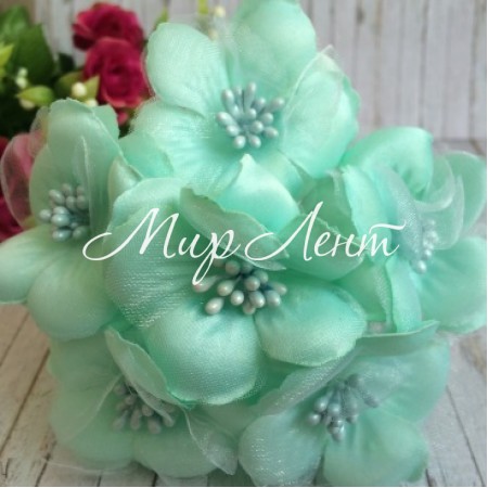 Космея, 5,5 см, тіффані, упаковка 10 пучків (60 квіточок)