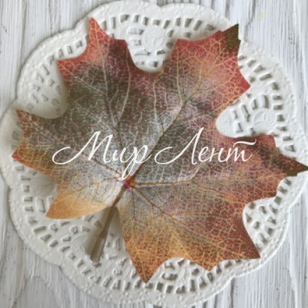 Листик клена с ножкой (маленький), 9,5х7,5 см, бледно-зелено-оранжевый, упаковка 50 шт.