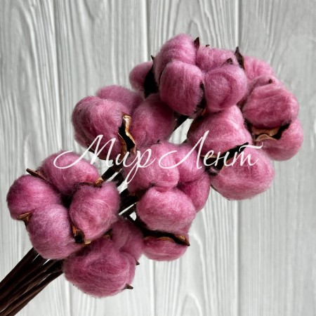 Хлопок стабилизированный на ножке, 38 см, пудрово-баклажановый, упаковка 10 шт.