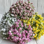 Букет озотамнуса