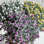 Букет пираканты