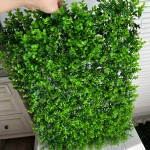 Зелень на пластиковой основе