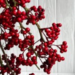 Ветки с ягодками