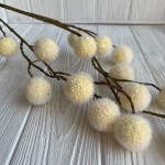 Ветка с пухнастыми шариками