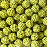 Бусина в пупырышку "Ежевика" матовая