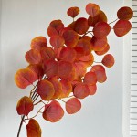 Эвкалипт 65 см