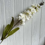 Дельфиниум