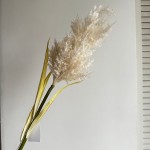 Ветка камыша