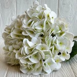 Гортензия (С30056)