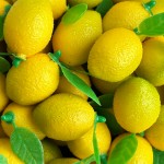 ФРУКТЫ, ОВОЩИ, ЯГОДЫ