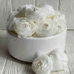 Шифоновый пион