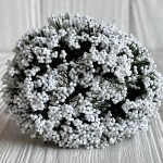 Травка простая