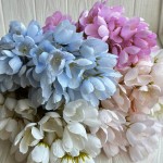 Ветка жасмина