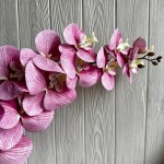 Ветка орхидеи