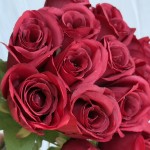 Букет роз (С30480)