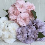 Букет диантусов (С30474)