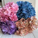 Гортензия латексная 46 см