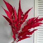 Ветка осенняя