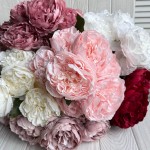 Букет пионов (С30478)