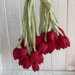 Тюльпаны с органзы