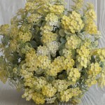 Кольорова зелень (С30660) Кольорова зелень (С30660)