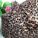 Репс леопард