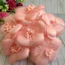 Космея, 5,5 см, персиковый, упаковка 10 пучков (60 цветочков)