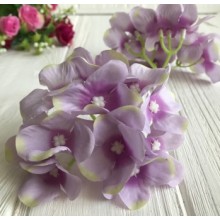 Гортензия (пучок), 12 см, сиренево-салатовый, упаковка 50 шт.