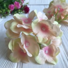 Гортензия (пучок), 12 см, персиково-розовый, упаковка 50 шт.