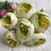 Пион весенний, 3 см, нежно-салатовый, упаковка 60 шт.