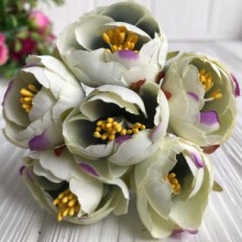 Пион весенний, 3 см, молочный с фиолетовым, упаковка 60 шт.