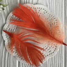 Перо цветное, 5-15 см, оранжевый, упаковка 100 шт.