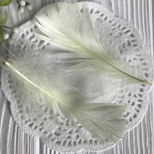 Перо цветное, 5-15 см, молочный, упаковка 100 шт.