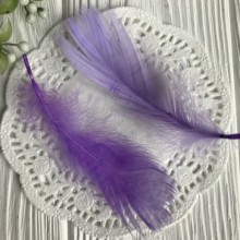 Перо цветное, 5-15 см, лиловый, упаковка 100 шт.