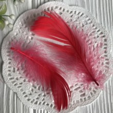 Перо цветное, 5-15 см, красный, упаковка 100 шт.