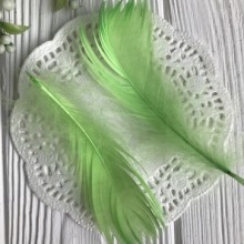 Перо цветное, 5-15 см, ярко-зеленый, упаковка 100 шт.