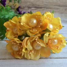 Цвет яблони с жемчужинкой, желтый, упаковка 10 пучков