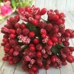 Веточка с тычинками