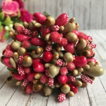 Веточка двухцветная, малиновый-светло-оливковый, упаковка 12 пучков (144 шт.)