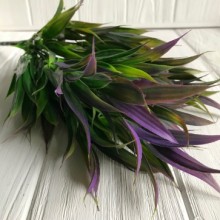 Ветка драцены, 39 см, зелено-фиолетовый, 1 шт.