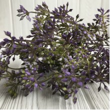 Ветка аспарагуса, 35 см, фиолетовый, 1 шт.