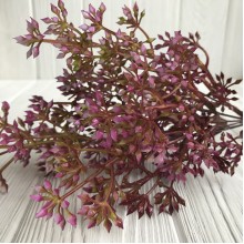 Ветка аспарагуса, 35 см, малиновый, 1 шт.