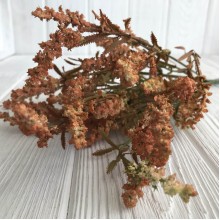 Ветка кувшинки, 37 см, светло-оранжевый, 1 шт.