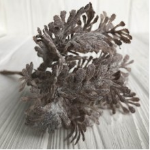 Веточка туи, 16 см, светло-коричневый, упаковка 10 шт.